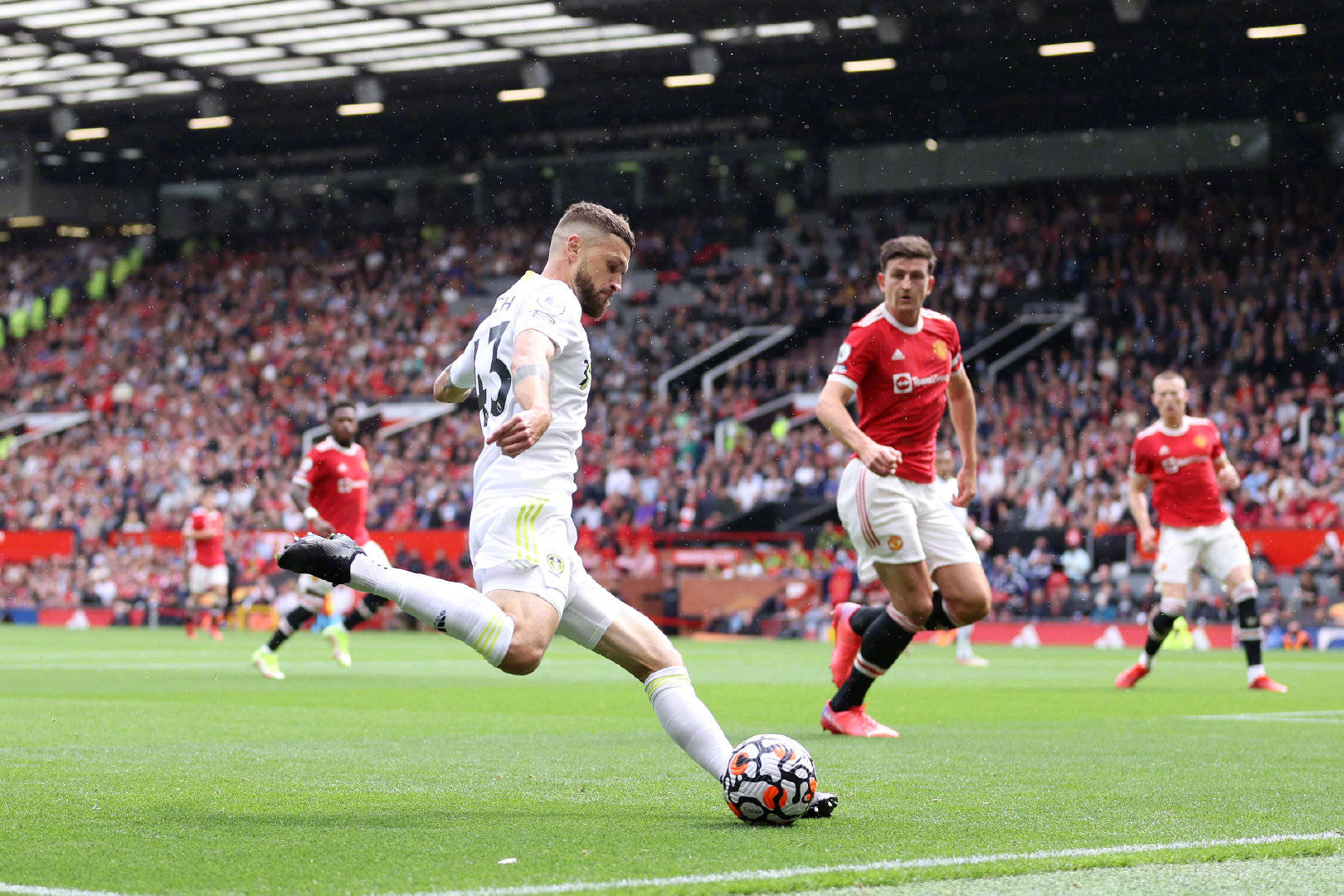 仍能看见属 仍能看见属